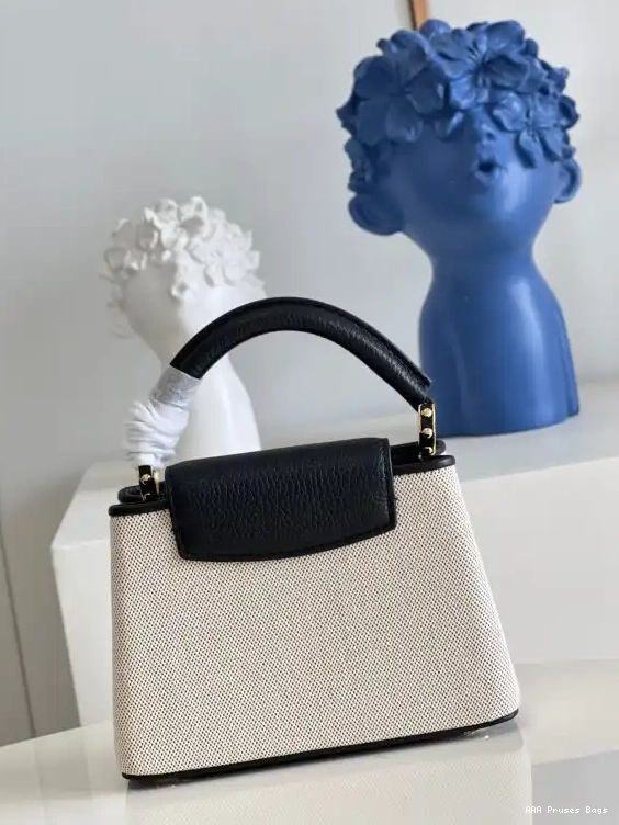 AAA Replica Ru MINI VUITTON CAPUCINES LOUIS 0604